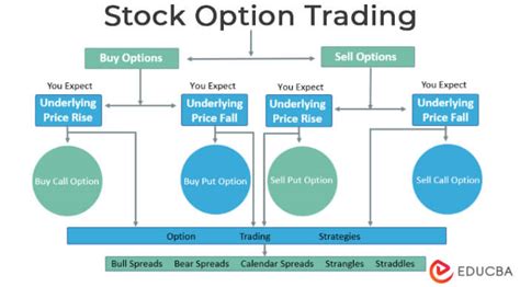 how are tips similar to stock options